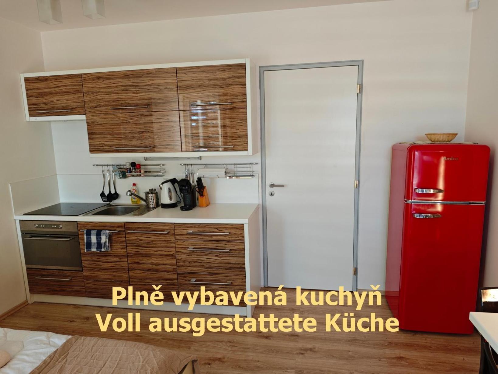 Apartman Sova - Klinovec Loucna pod Klinovcem Exterior photo